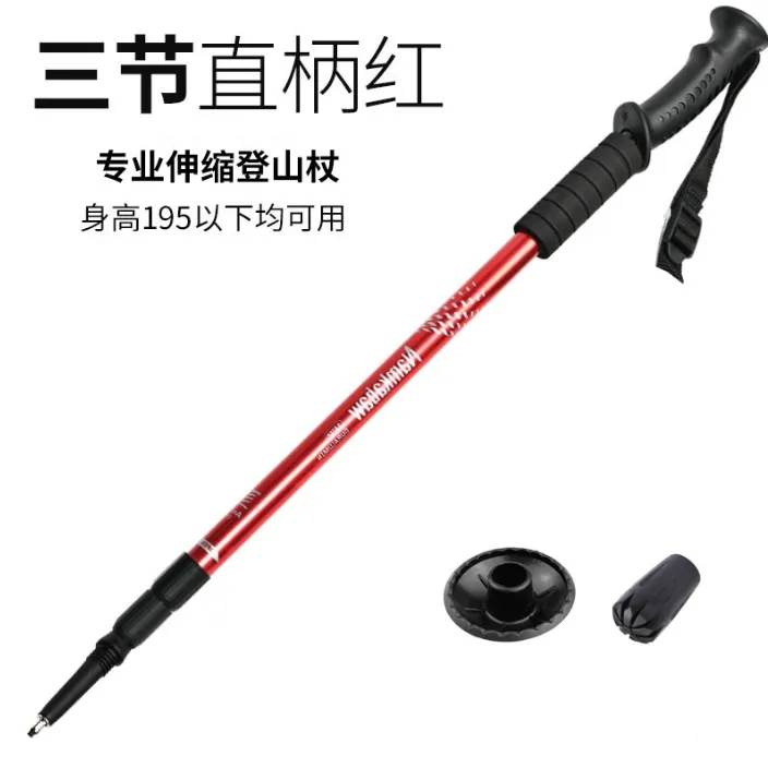 Trekking Pole 8