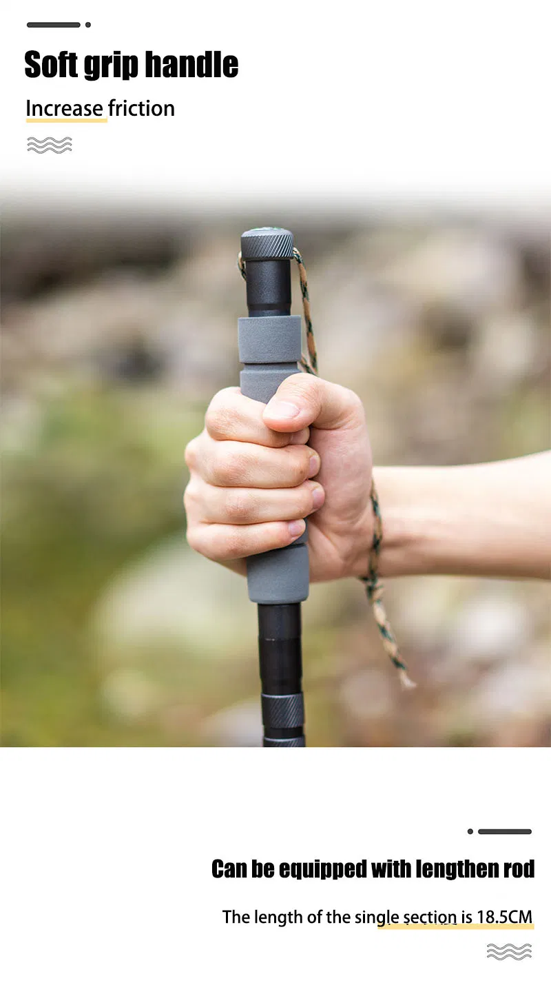 Trekking Pole Detail 11