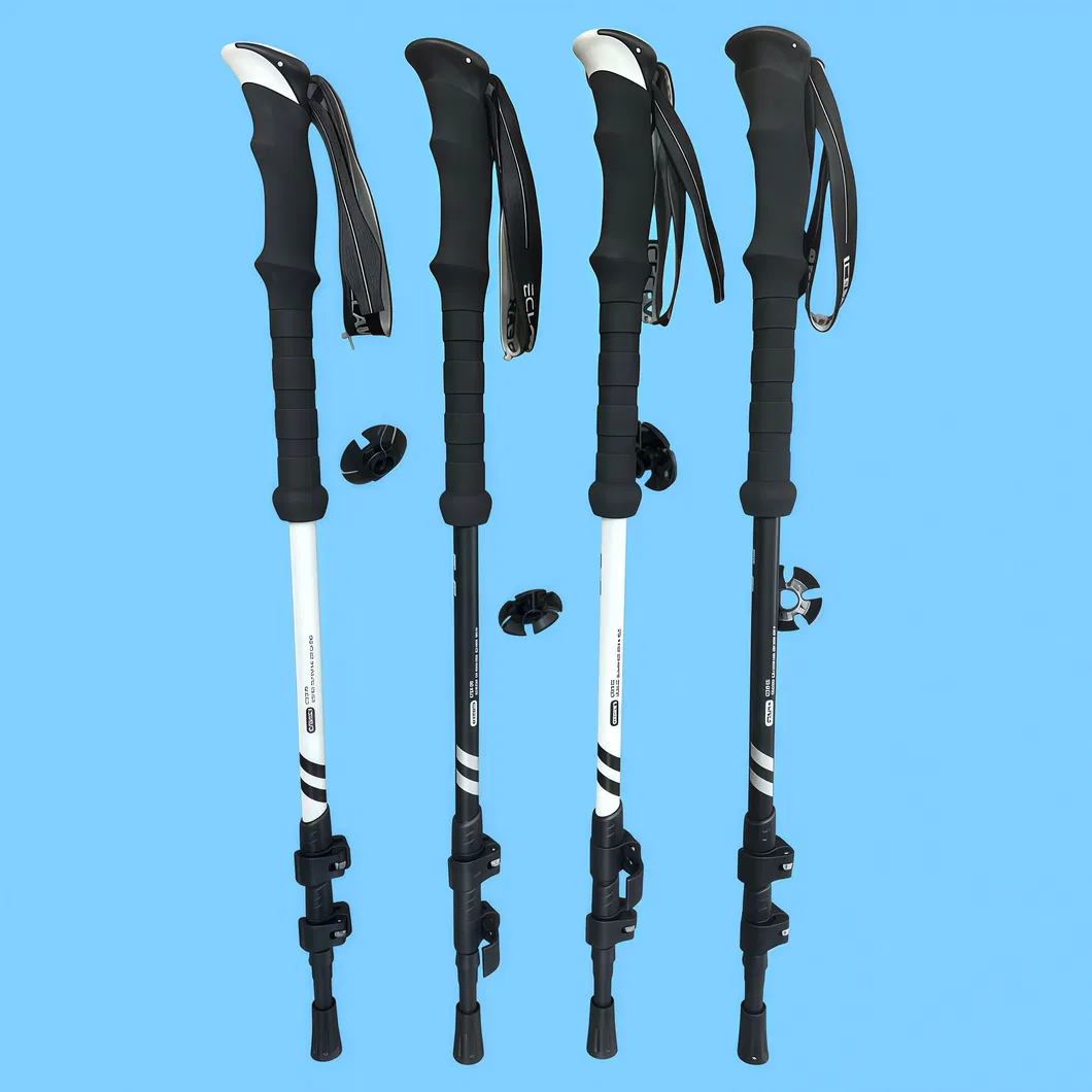 Foldable Design View