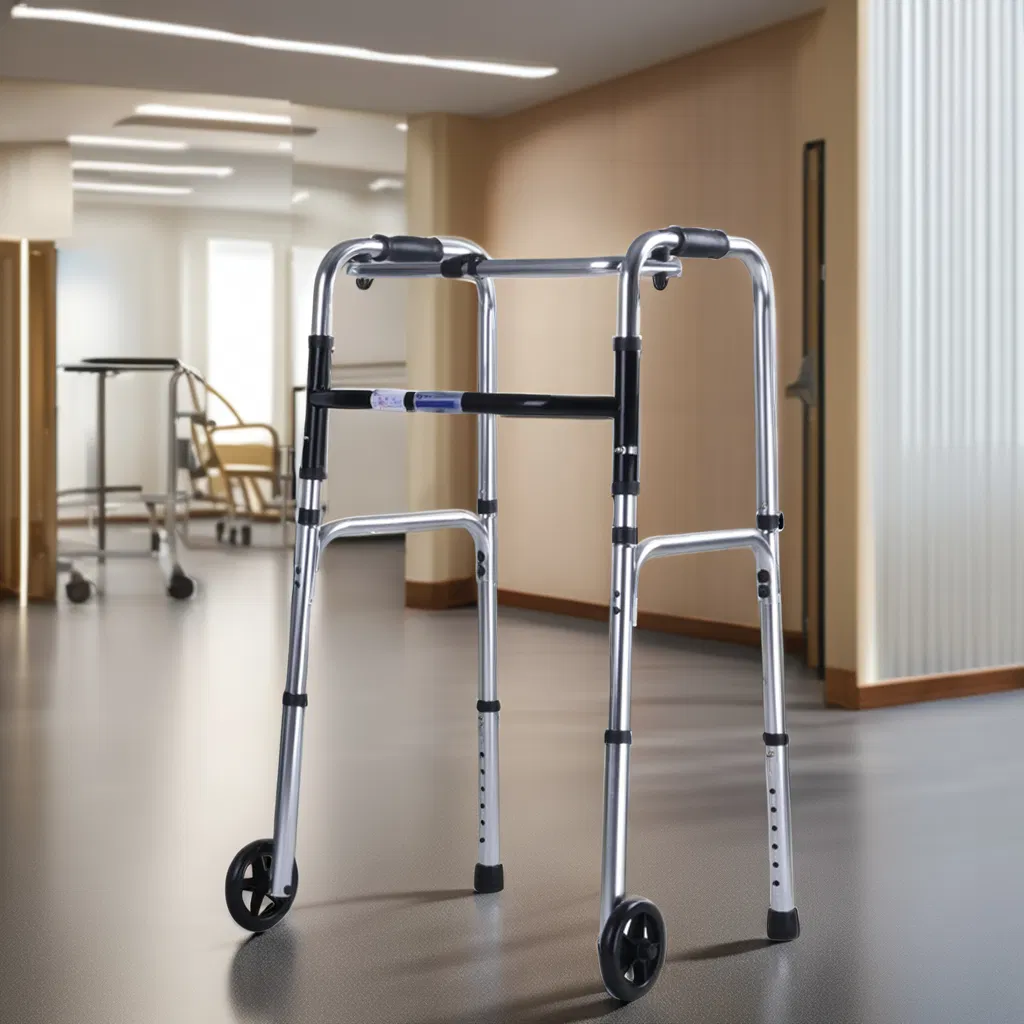 Mobility Walker View 2