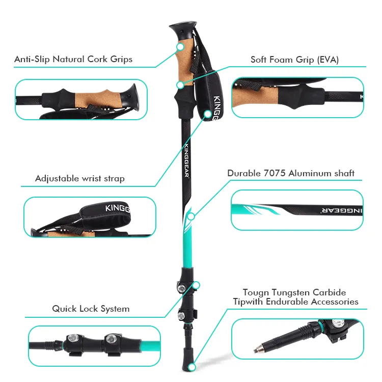 Trekking Pole Detail 2