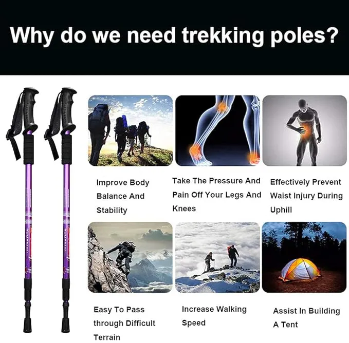 Trekking Pole 6