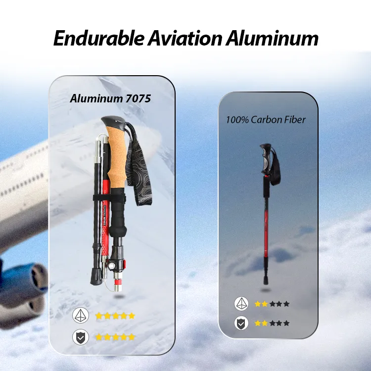 Hiking Pole Detail 2