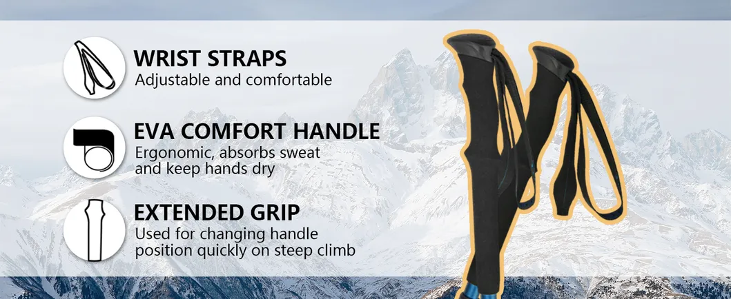 Trekking Pole Detail 3