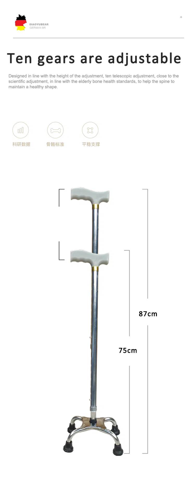 Walking Stick Detail 5