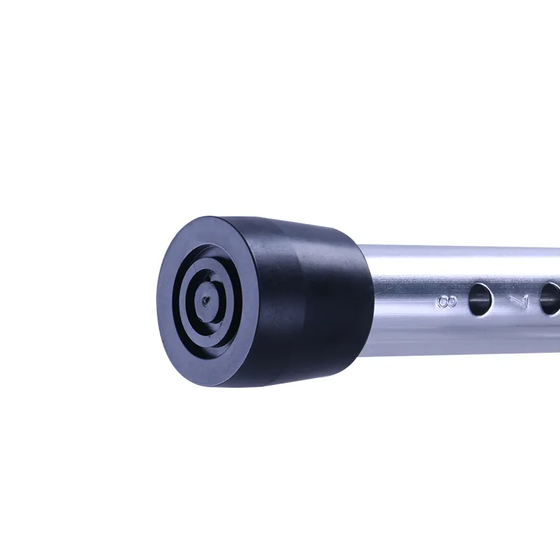 Mobility Walker View 5