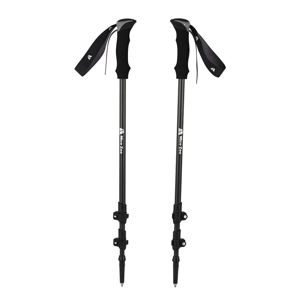 Trekking Pole Detail 2