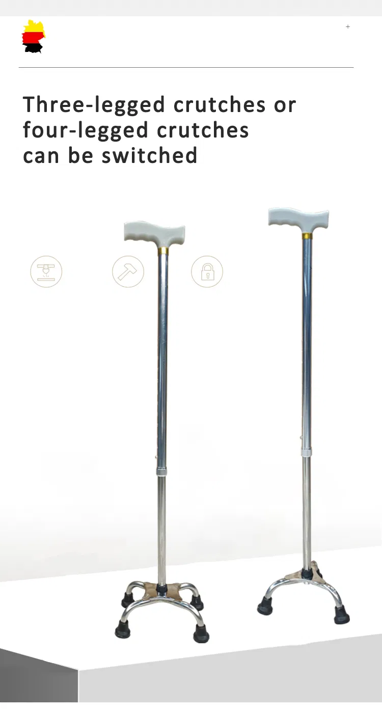 Walking Stick Detail 2