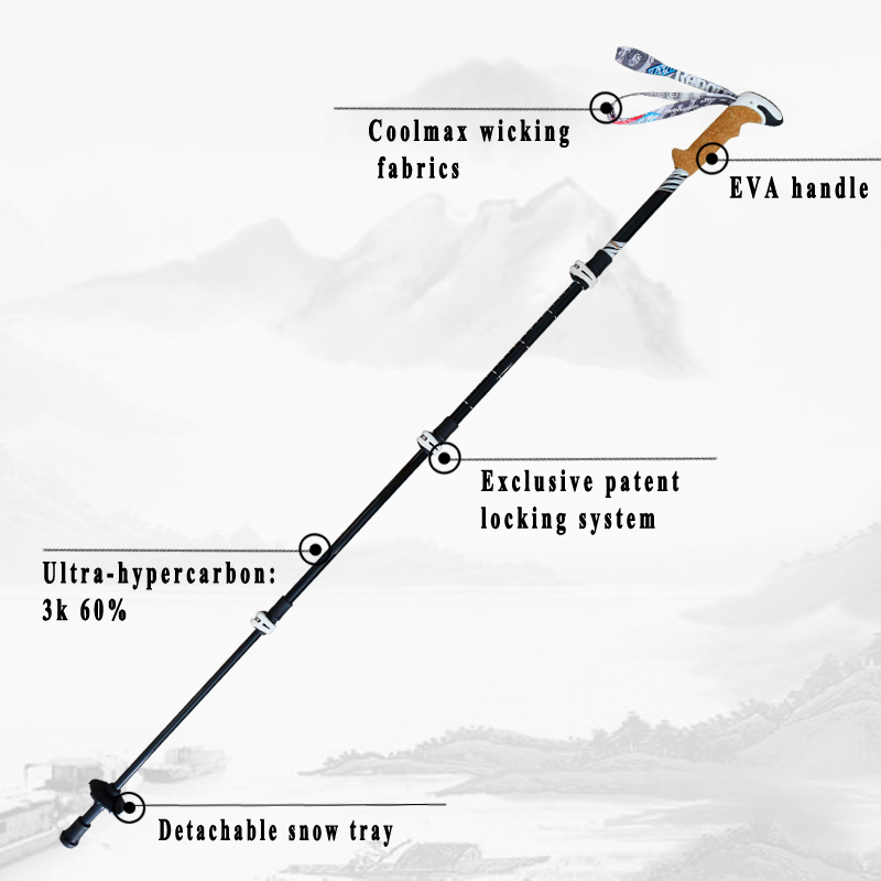 EVA Grip Carbon Fiber Trekking Pole/Hiking Stick/Walking Pole