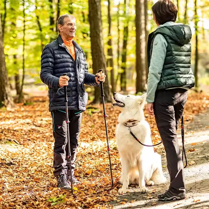 Trekking Pole View 1