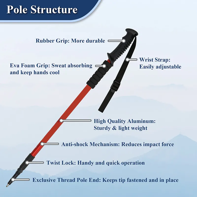 Trekking Poles 2