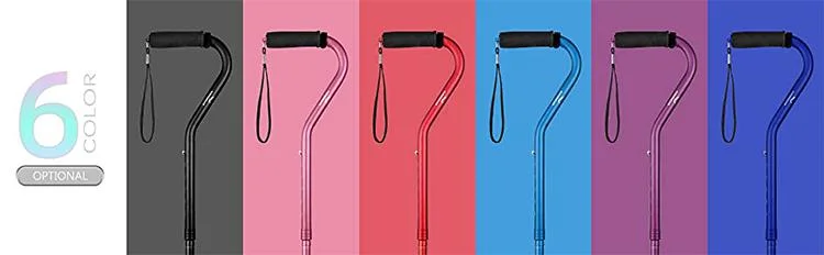 Walking Stick Features