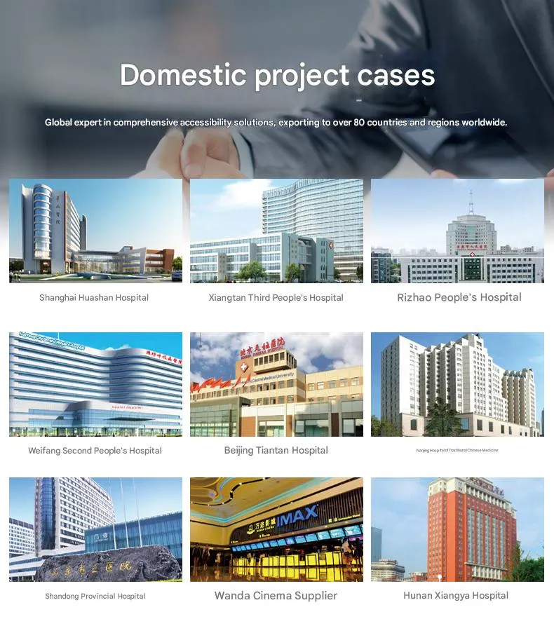 Walking Stick Detail 10