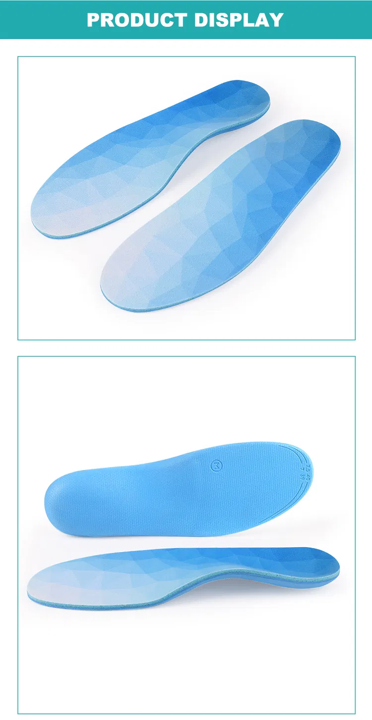 Anatomy of Insole