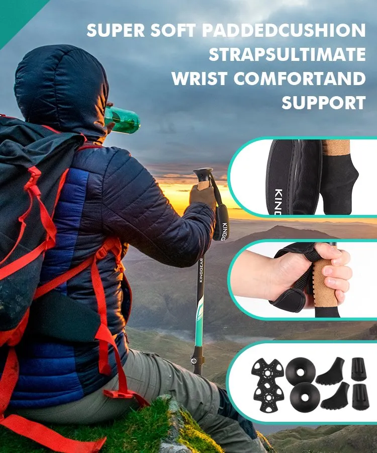 Trekking Pole Detail