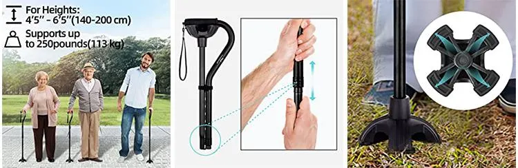 Folding Cane Details