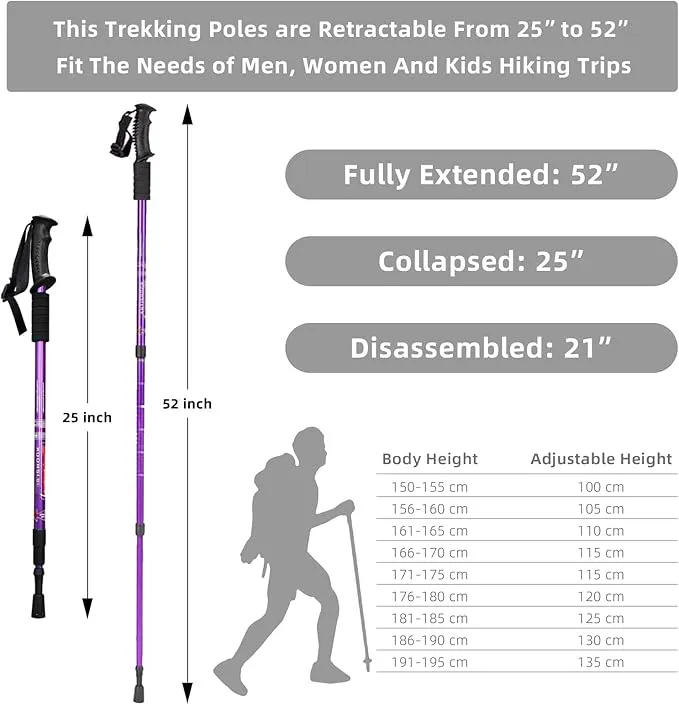 Trekking Pole 3
