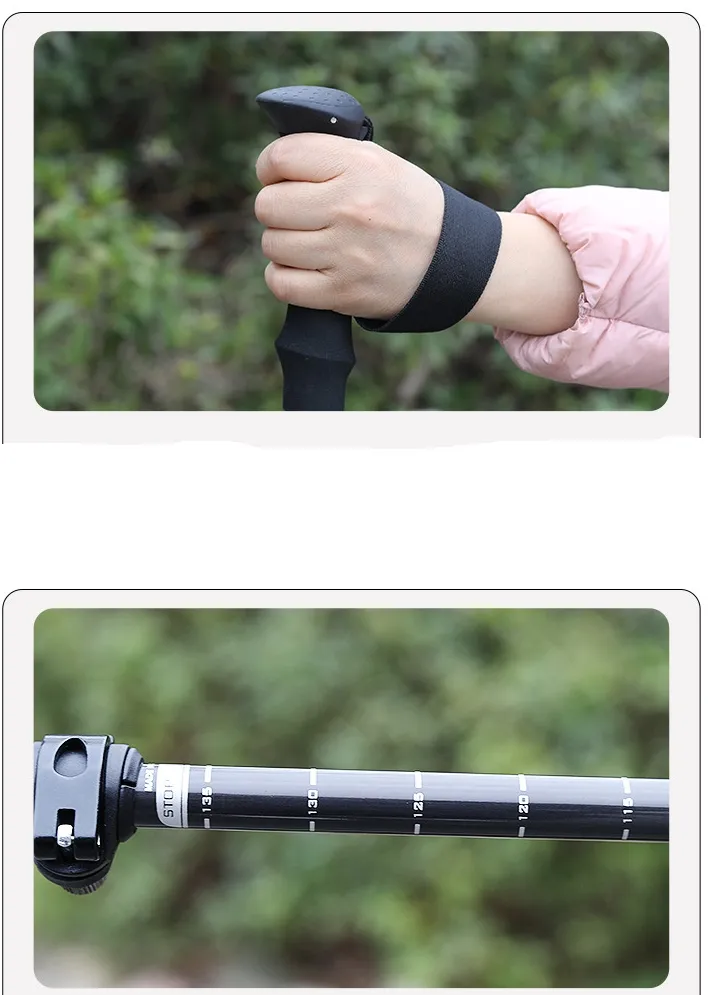 Trekking Pole View 7