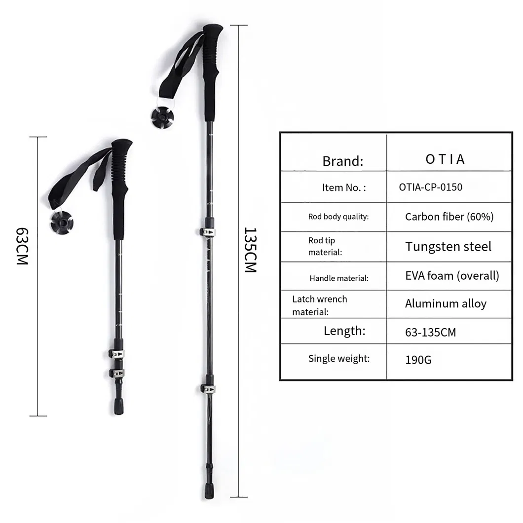 Trekking Pole Detail 1