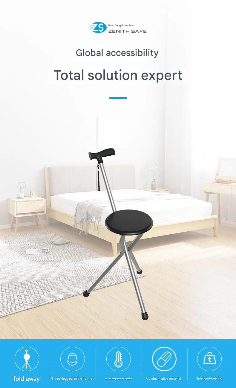 Walking Stick Detail 1