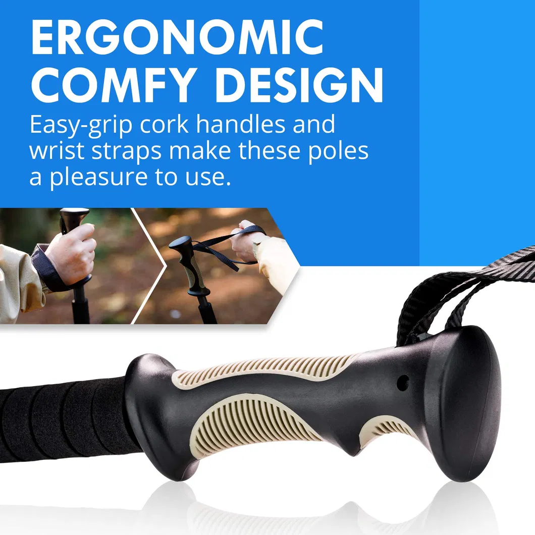 Trekking Pole Detail 2