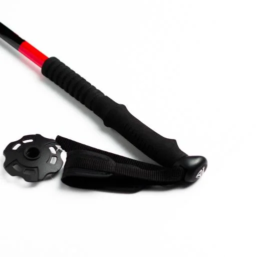 New Style Flick Lock EVA Handle Nordic Walking Pole (MW1058)