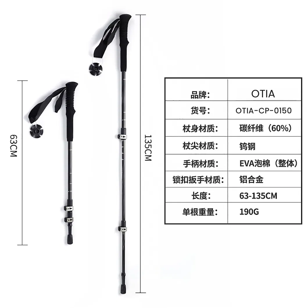 Trekking Pole Detail 2