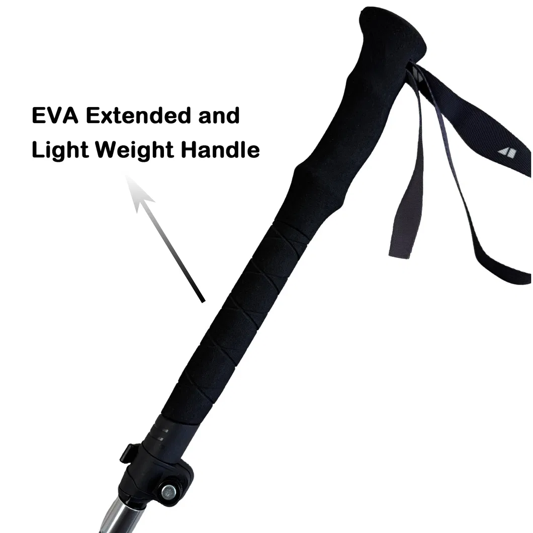 Trekking Pole Detail 2