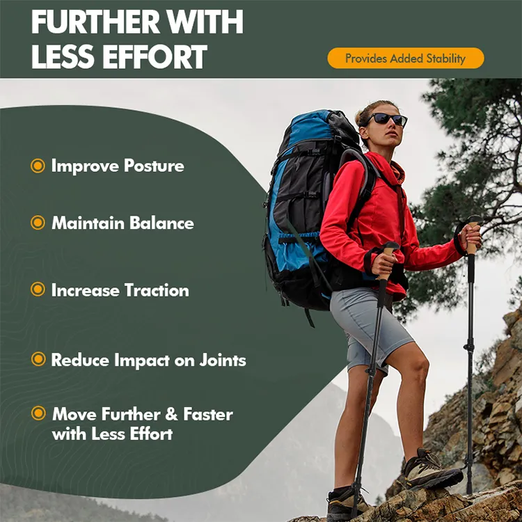 Trekking Pole Detail 1