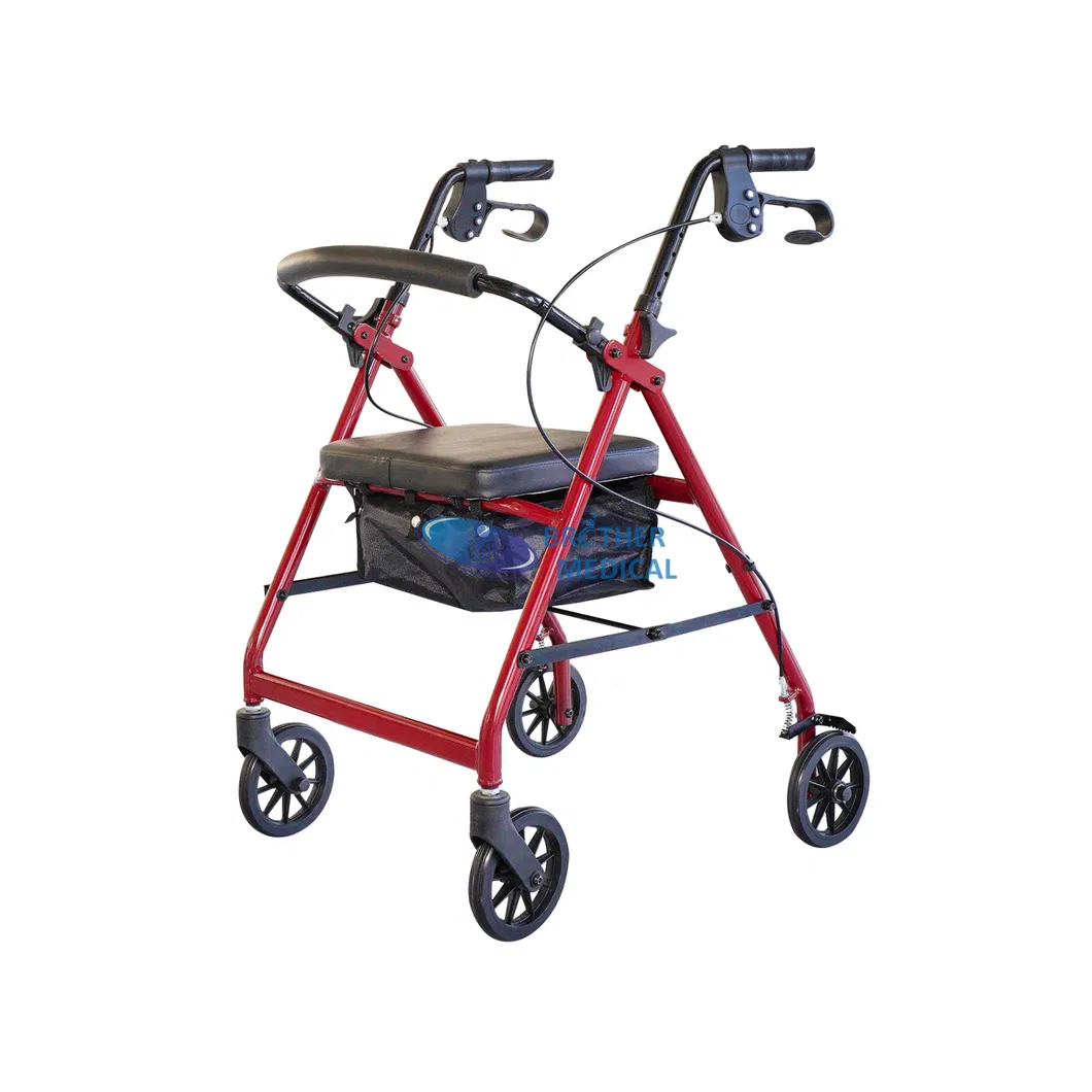 Mobility Walker Detail