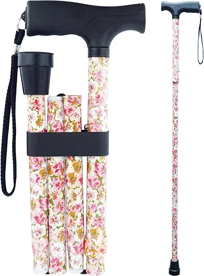 Walking Stick Feature 2