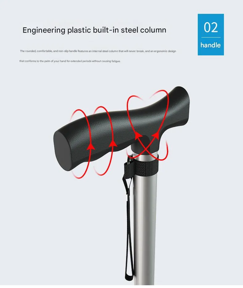 Walking Stick Detail 5