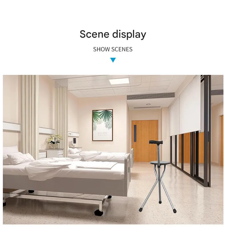 Walking Stick Detail 9