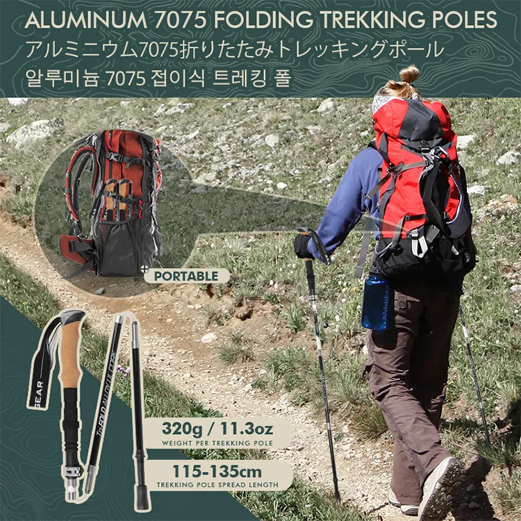 Folding Trekking Pole View 2