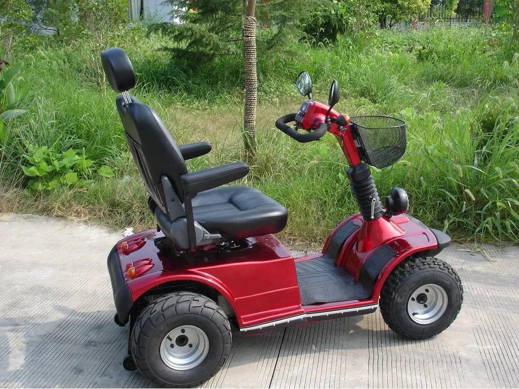 Electric Scooter View 1