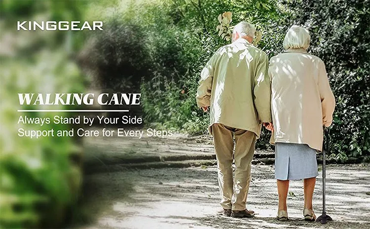 Walking Cane Description