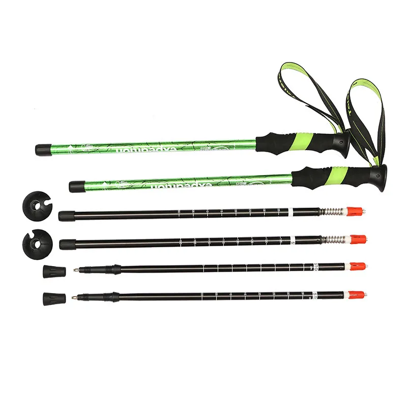 Hiking Pole Detail 2