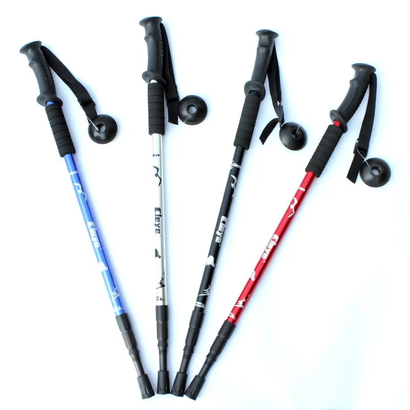 Trekking Pole Display 1