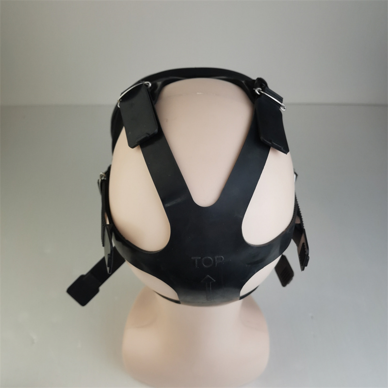 PPE Plus Mf22 Gas Mask Full Face Mask Mask Gas for Checmicals