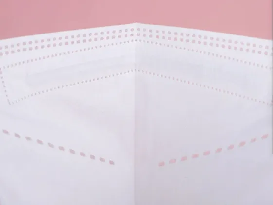 N95 Disposable Face Mask Detail