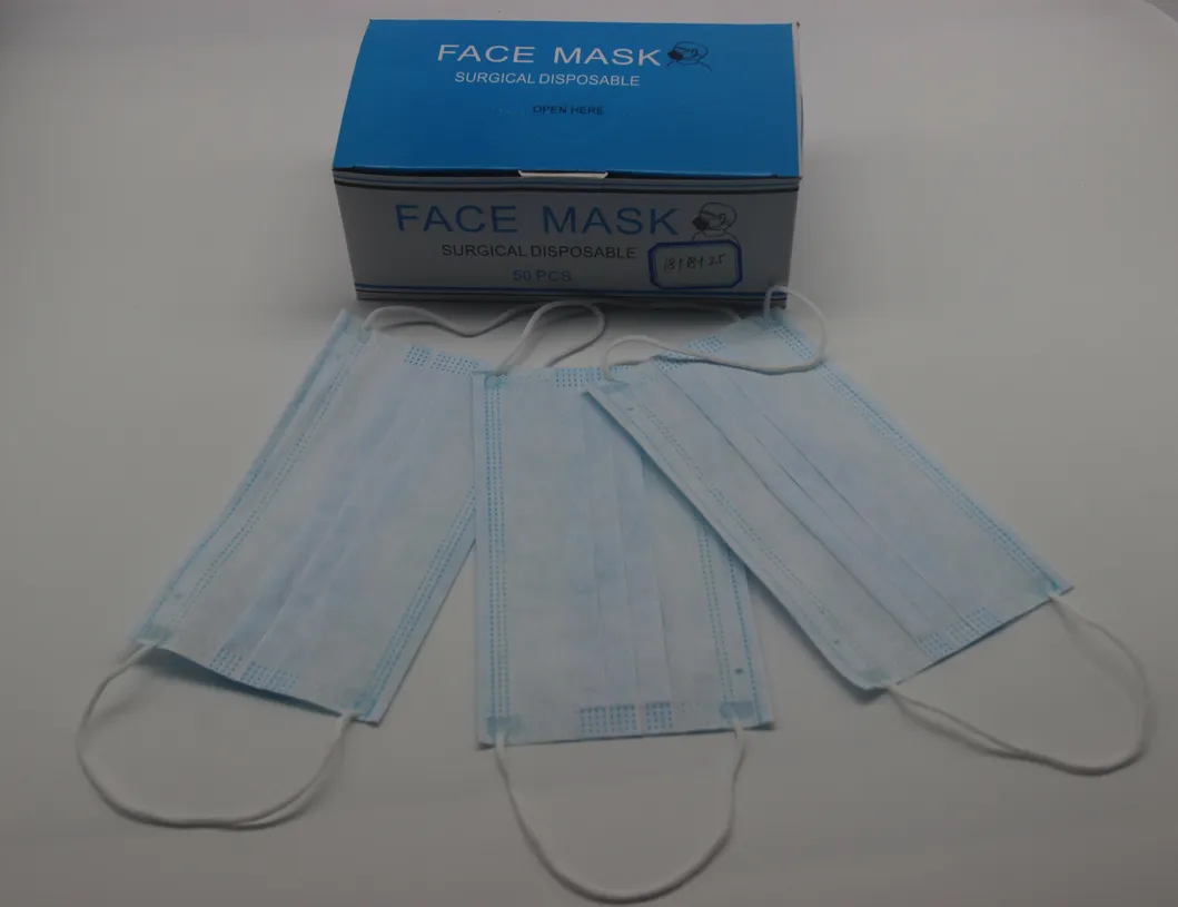 Disposable Face Mask View 2