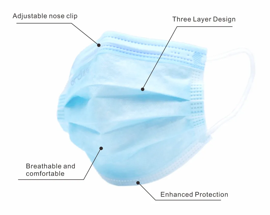 Disposable Non-Woven Mask Features