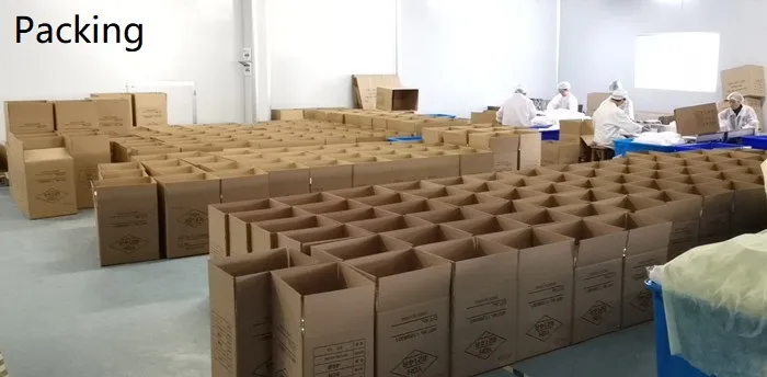 Shipping Carton
