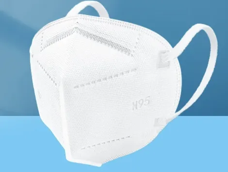 N95 Disposable Face Mask