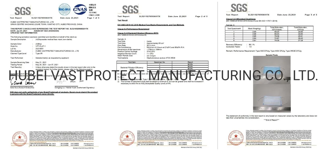SGS Test Report