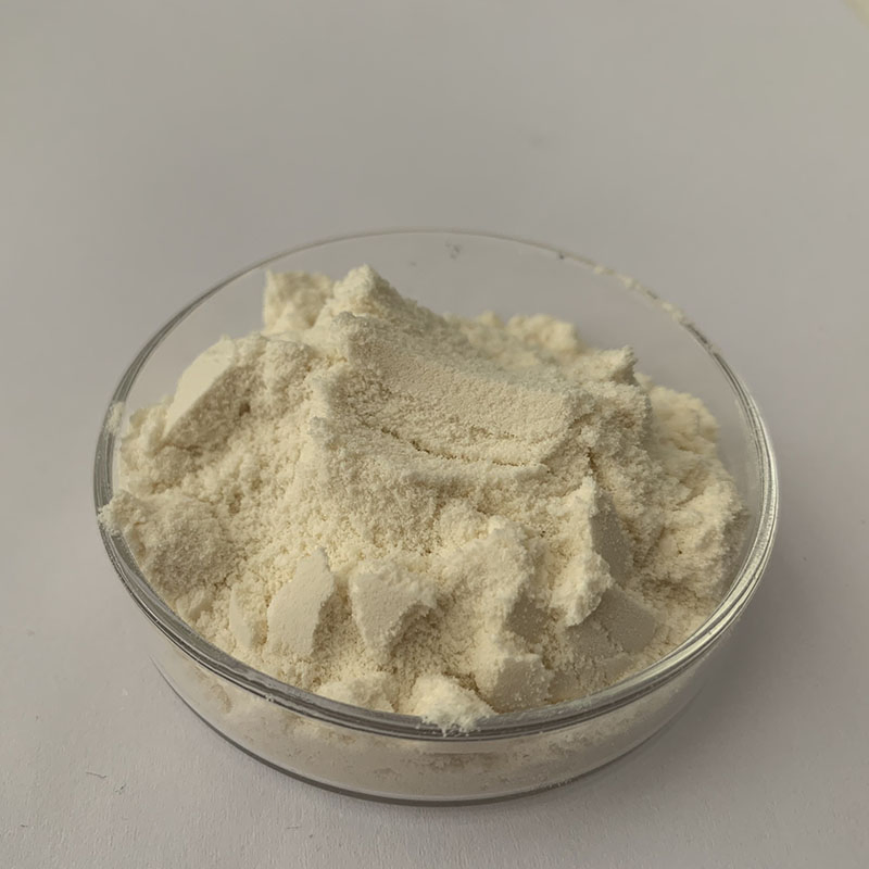 Concentrated Whey Protein Powder Instant WPC80 Fitness Muscle-Building Protein Powder