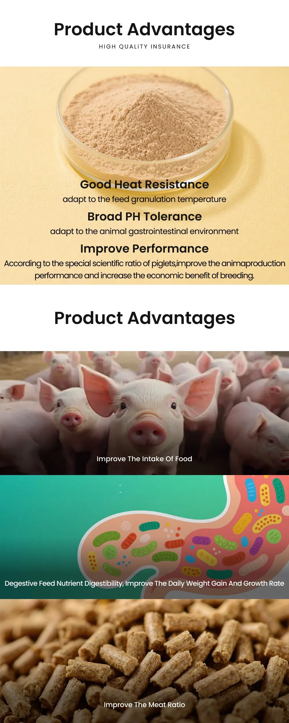 Feed Grade Swine Complex Enzyme Enhance Growth Performance and Gut Health