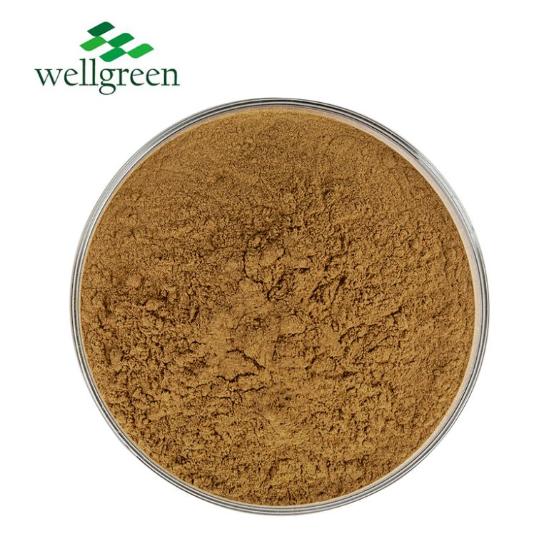 Bulk Price Maitake Mushroom Extract Powder 50% Polysaccharide