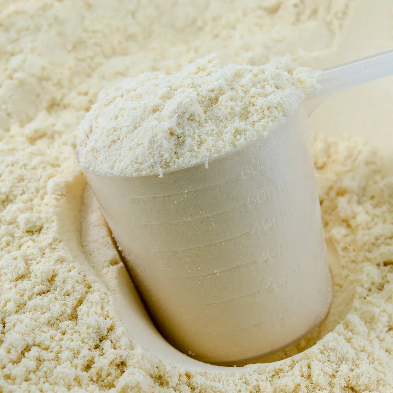 Adults Health Food Supplement OEM Build Muscle Energy Drinking Whey Protein Powder for Pre-Workout