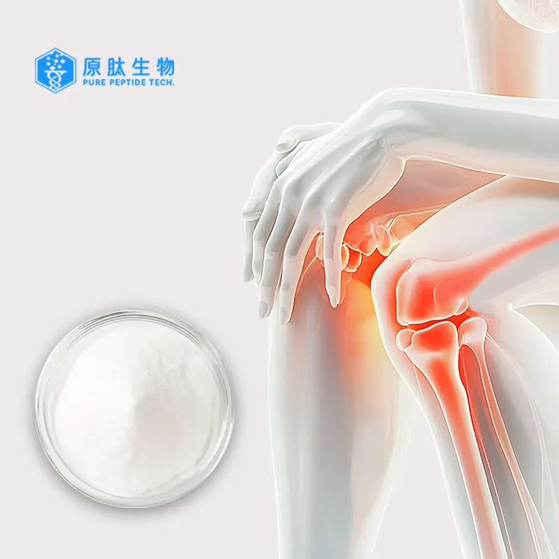 Premium Fish Collagen Food Supplement for Enhanced Skin and Joint Health